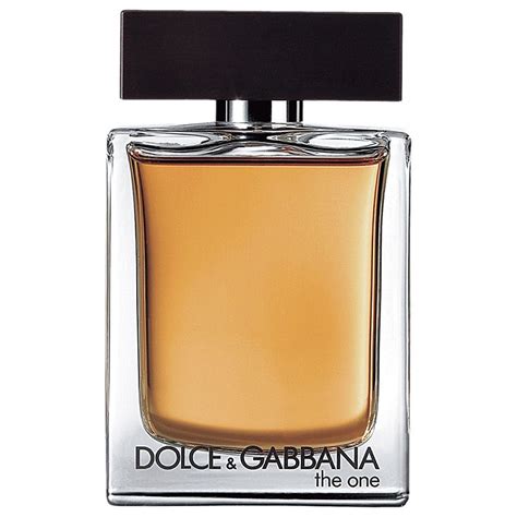 dolce gabbana anker kette|the one for men Dolce & Gabbana.